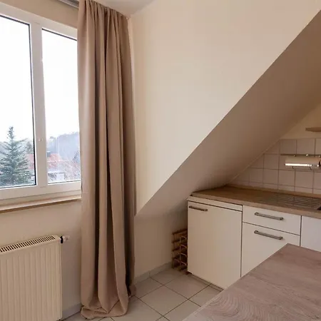 Bergwiesenblick Mit Balkon Apartment Sankt Andreasberg