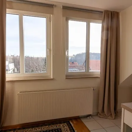 Bergwiesenblick Mit Balkon Apartment *